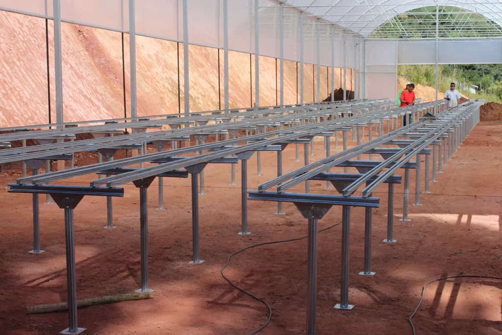 Instalação de estruturas metálicas para morango