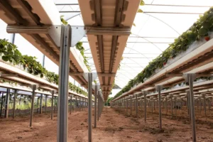 Vista inferior de bancada metálica para produção de morango semi-hidropônico